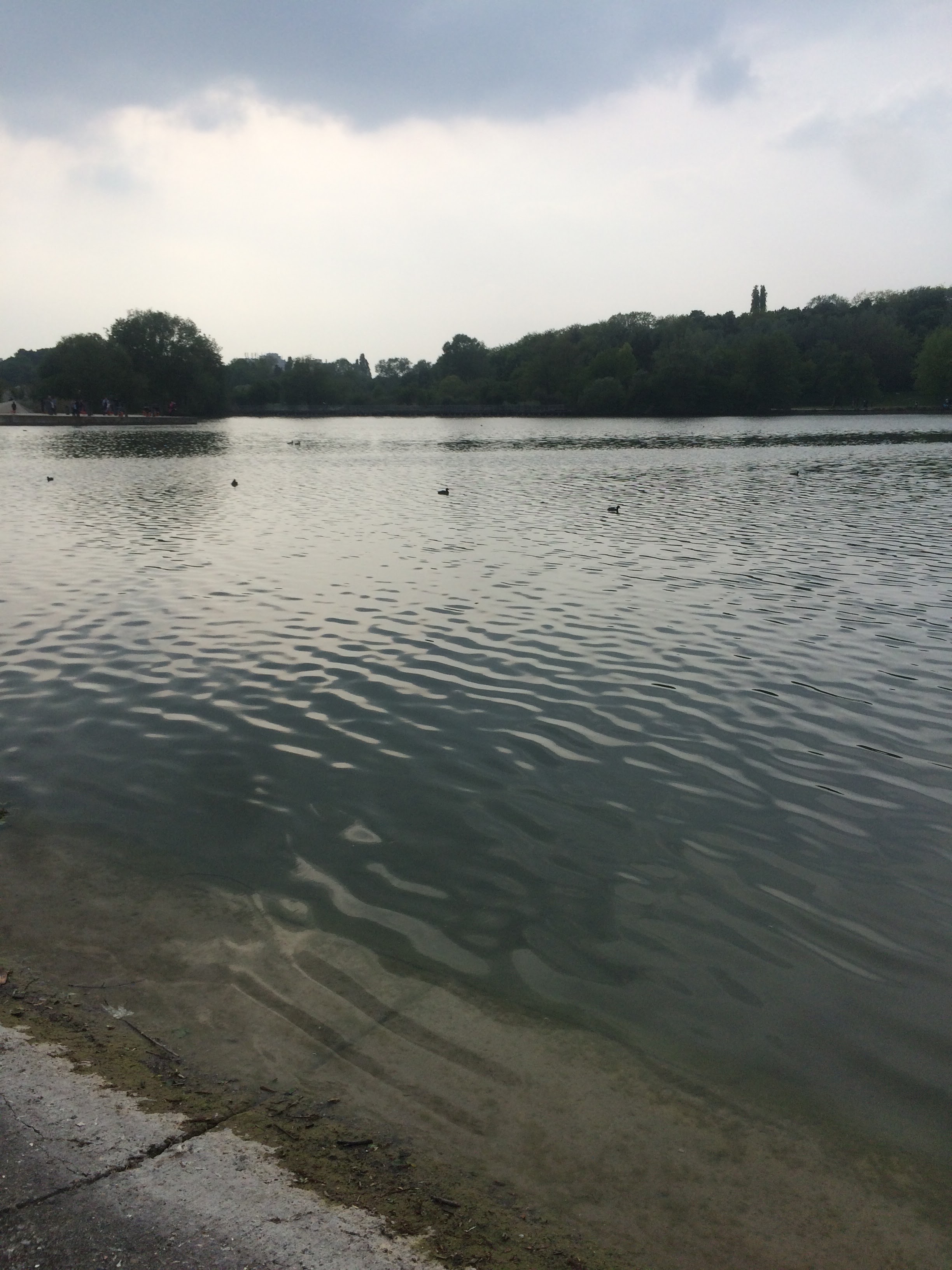 Photo n° 4 de l'avis de Sema. fait le 01/05/2019 à 17:19