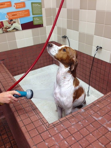 Pet Supply Store «Pet Food Express», reviews and photos, 2531 Fair Oaks Blvd, Sacramento, CA 95825, USA