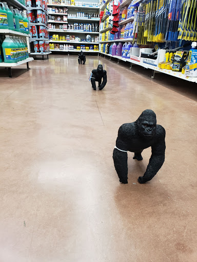 Department Store «Walmart Supercenter», reviews and photos, 35 Plaza Dr, Tamaqua, PA 18252, USA