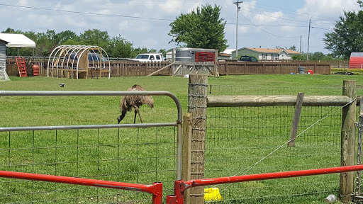 Tourist Attraction «Lucky Ladd Farms», reviews and photos, 4374 Rocky Glade Rd, Eagleville, TN 37060, USA