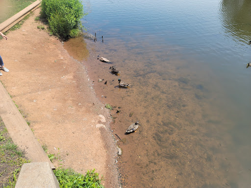 Park «Roosevelt Park», reviews and photos, Roosevelt Dr, Edison, NJ 08837, USA