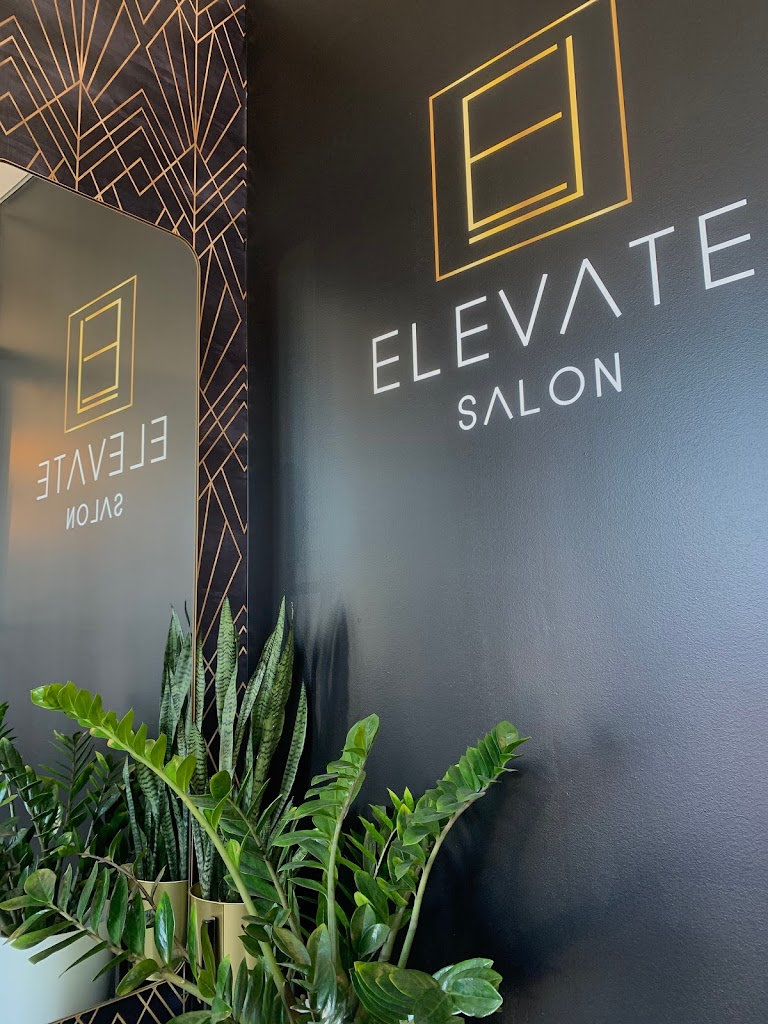 Elevate Salon 60525