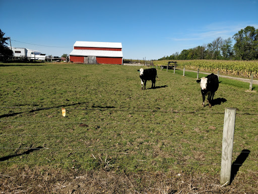 Golf Course «Hidden Acres Executive Golf», reviews and photos, 6269 Perry Warsaw Rd, Perry, NY 14530, USA