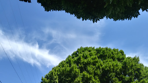 Park «Colonel Summers Park», reviews and photos, SE 17th Ave & Taylor St, Portland, OR 97214, USA