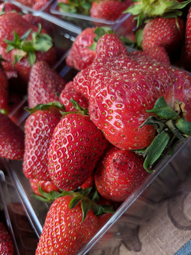 Recreation Center «Arlington Mill Community Center», reviews and photos, 909 S Dinwiddie St, Arlington, VA 22204, USA