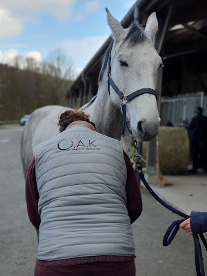 ostéopathe chevaux, chien, animalier, natacha schlusselhuber. Naturopathe, bioresonance à Selles