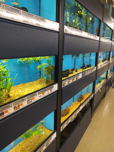 Pet Supply Store «Petco Animal Supplies», reviews and photos, 1391 NJ-35, Middletown, NJ 07748, USA