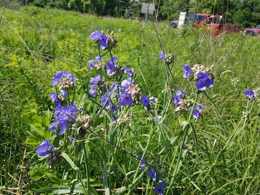Bird Watching Area «Jelke Creek Bird Sanctuary», reviews and photos, Boncosky Rd, Dundee Township, IL 60118, USA