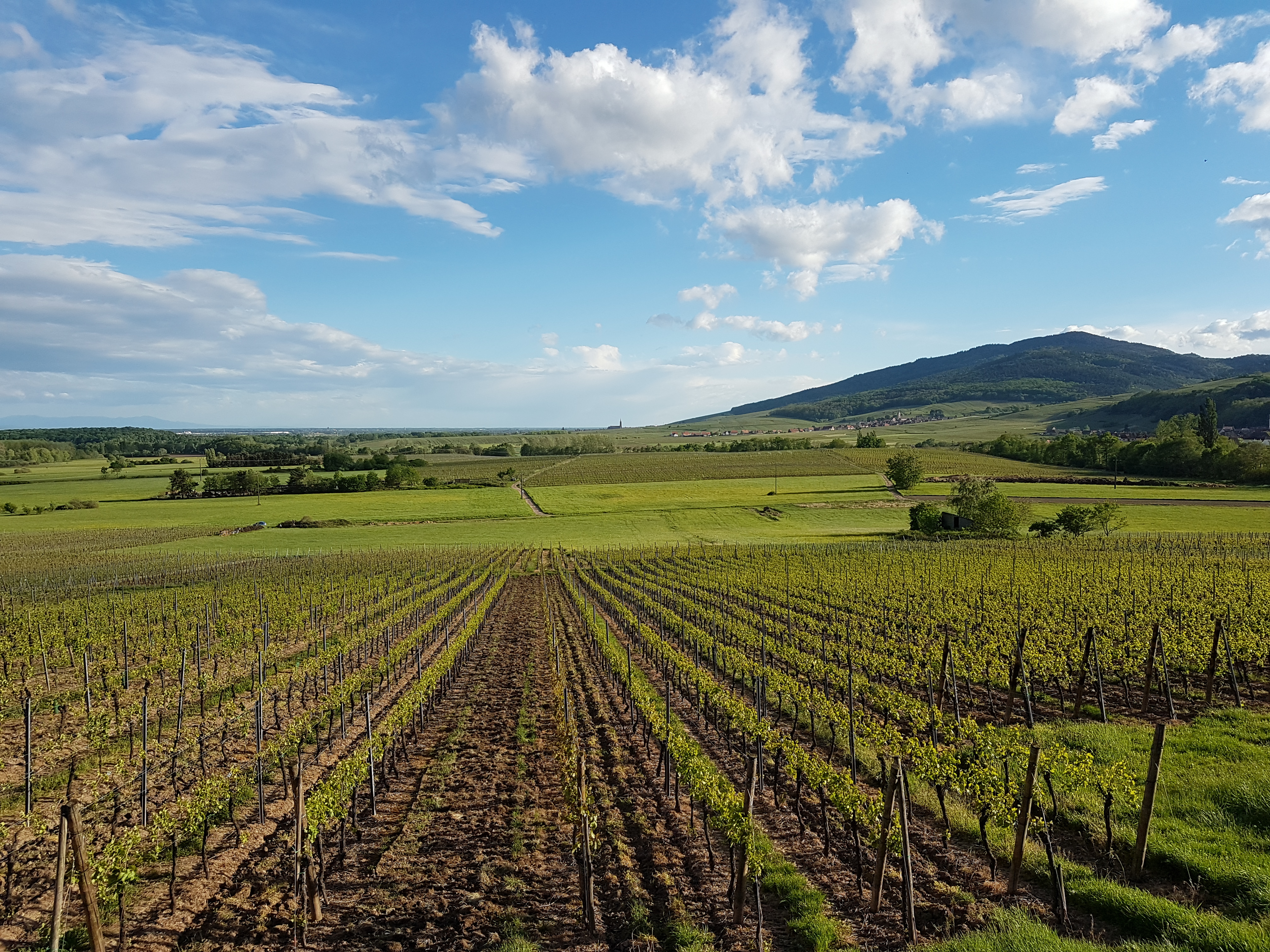 Photo n° 4 de l'avis de Manuel.a fait le 08/05/2018 à 21:10