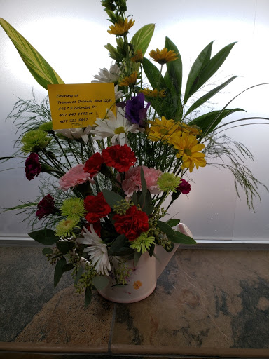 Treasured Orchids & Gifts, 4917 E Colonial Dr, Orlando, FL 32805, USA, 