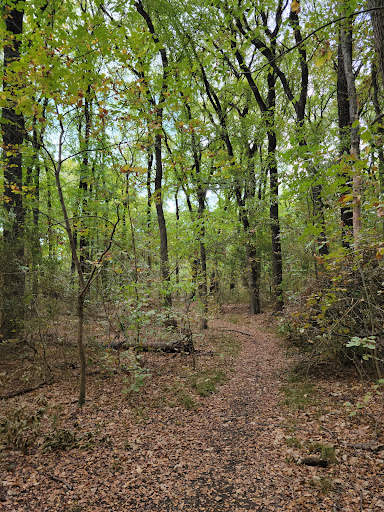 Park «Hoblitzelle Park», reviews and photos, 7500 Red River Dr, Plano, TX 75025, USA