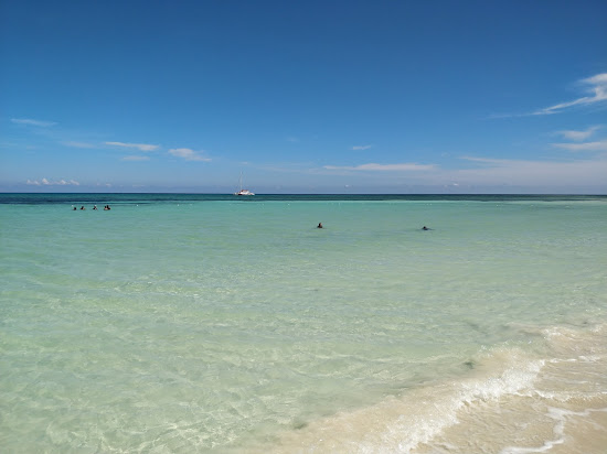 Burwood beach