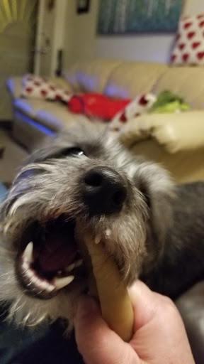 Pet Supply Store «Haute Dogs Boutique & Barkery», reviews and photos, 507 Georgia St, Vallejo, CA 94590, USA