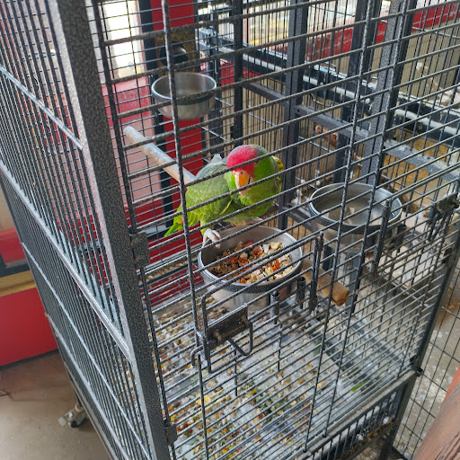 Animal Feed Store «Whittier Feed Store», reviews and photos, 12618 Penn St, Whittier, CA 90602, USA