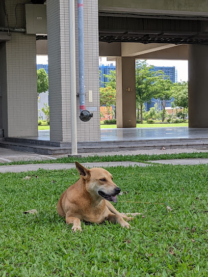 国立阳明交通大学 光电学院