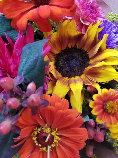 Tourist Attraction «Gum Wall», reviews and photos, 1428 Post Alley, Seattle, WA 98101, USA
