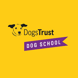 Dogs Trust Dog School Northern Ireland
