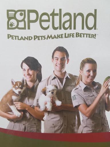 Pet Supply Store «Petland Tyler», reviews and photos, 4512 S Broadway Ave, Tyler, TX 75703, USA