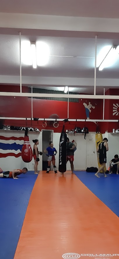 Muay Thai Academy - 2G34+QJF, Vía Cincuentenario, Panamá, Panama