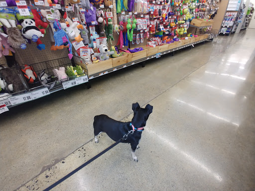 Pet Supply Store «Pet Supplies Plus», reviews and photos, 543 N Foothills Plaza Dr, Maryville, TN 37801, USA