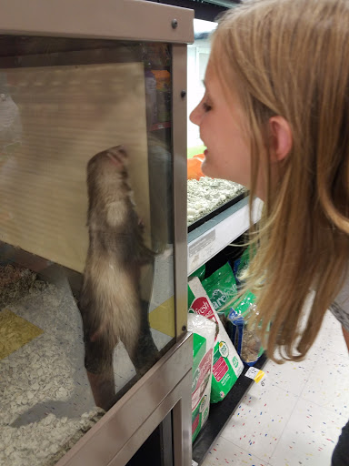 Pet Supply Store «Petco Animal Supplies», reviews and photos, 8644 E 96th St, Fishers, IN 46038, USA