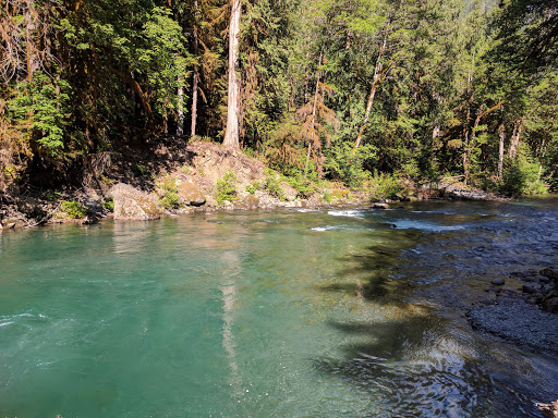 National Park «Olympic National Park», reviews and photos, 3002 Mt Angeles Rd, Port Angeles, WA 98362, USA