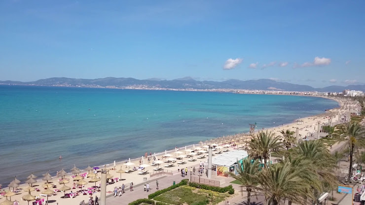 Vidéos hôtels AYA Seahotel 07600 Playa de Palma