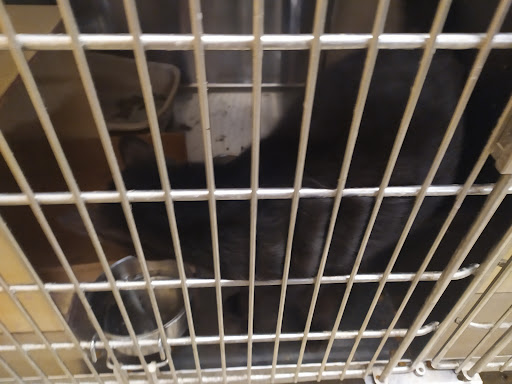 Pet Supply Store «PetSmart», reviews and photos, 533 S Tracy St, Wichita, KS 67209, USA