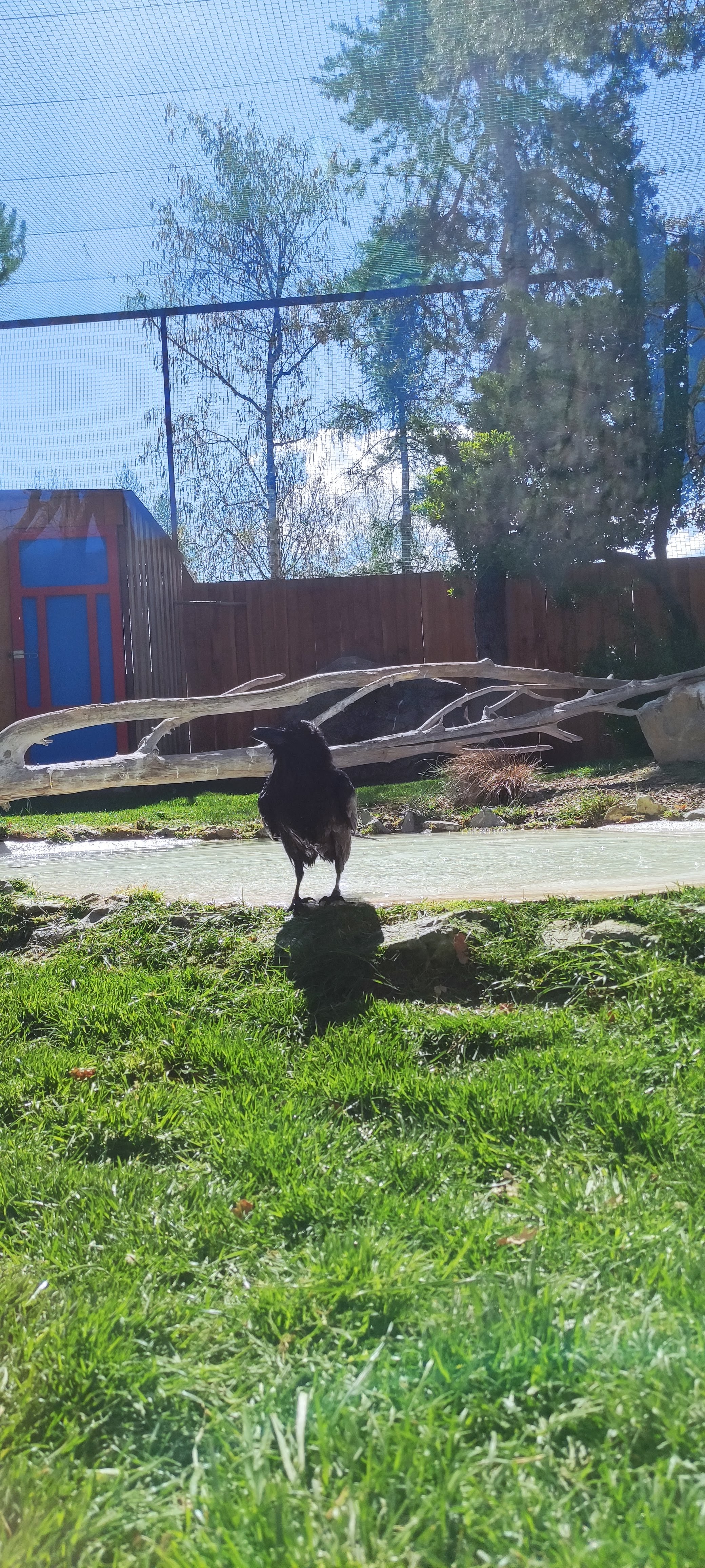 Photo n° 5 de l'avis de Alexia.a fait le 20/04/2023 à 07:36