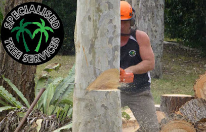 Specialised Tree Services