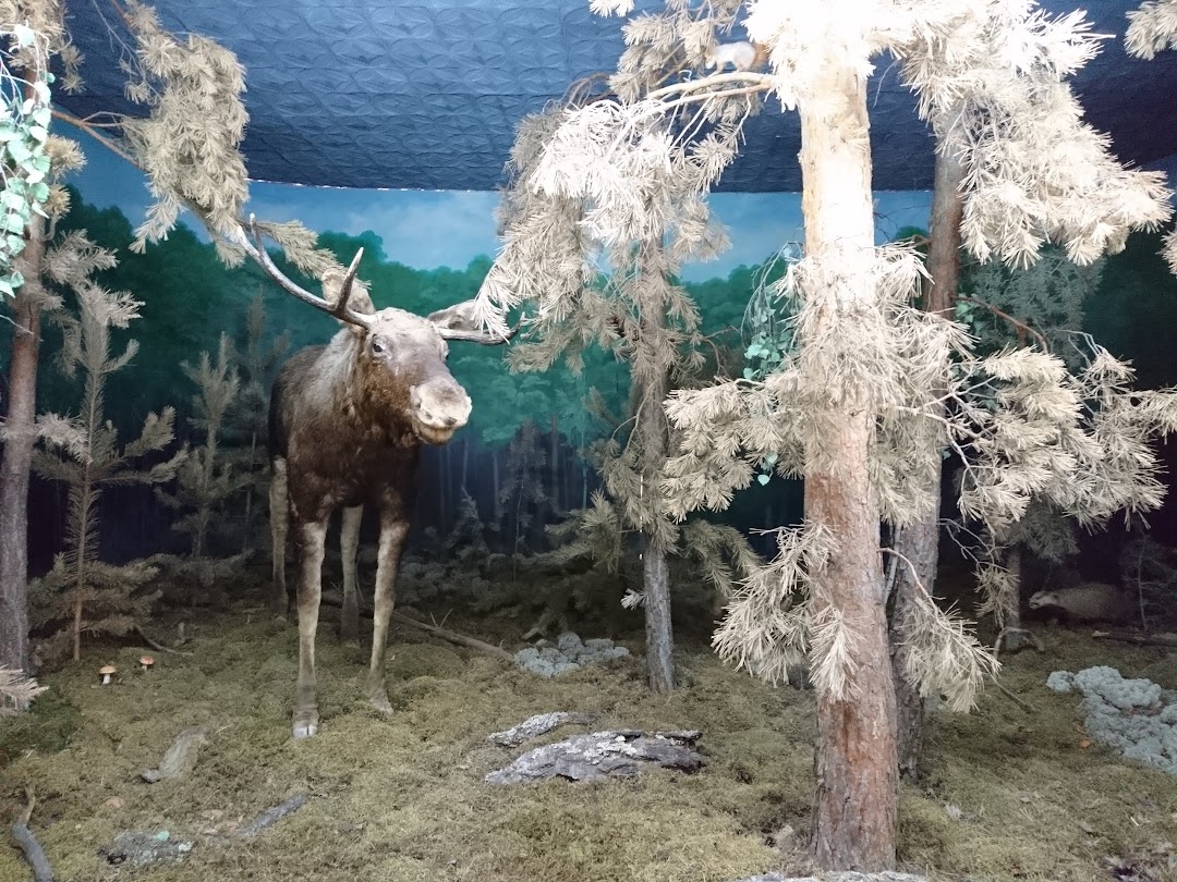 Kostanay, Kazakistan