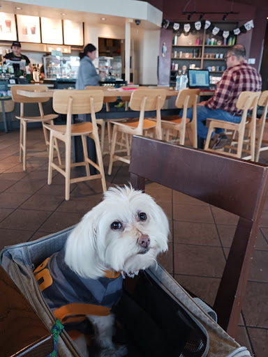 Starbucks image