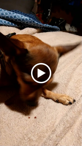 Park «Gateway Park», reviews and photos, 10100 N El Mirage Rd, El Mirage, AZ 85335, USA