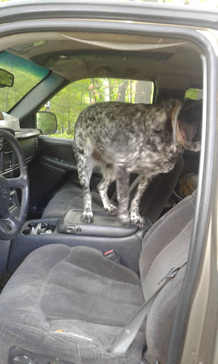 Nature Preserve «Oak Grove Nature Center», reviews and photos, 269 Oak Grove St, Manchester, CT 06040, USA