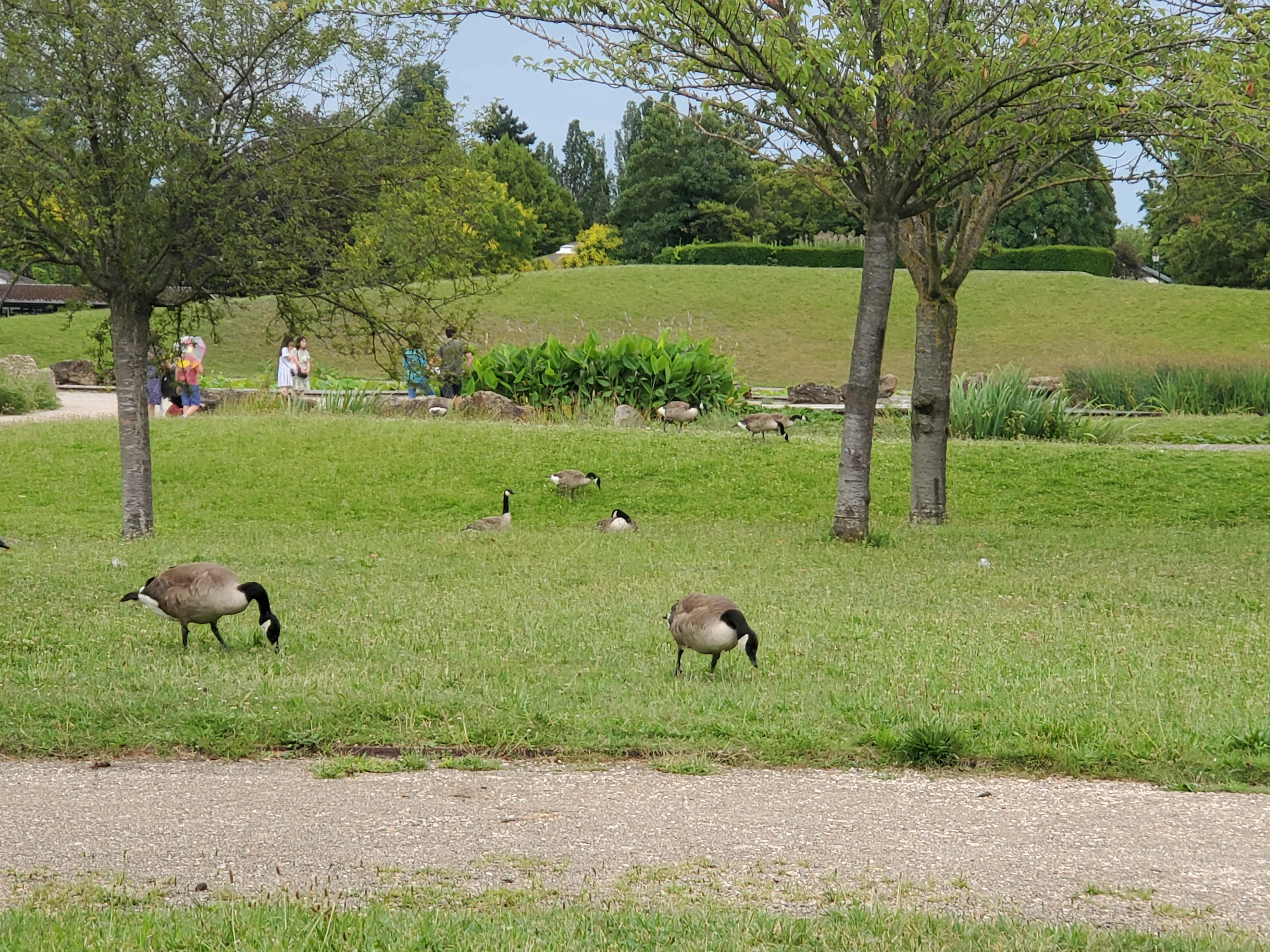 Photo n° 16 de l'avis de Fabienne.a fait le 21/07/2023 à 10:09