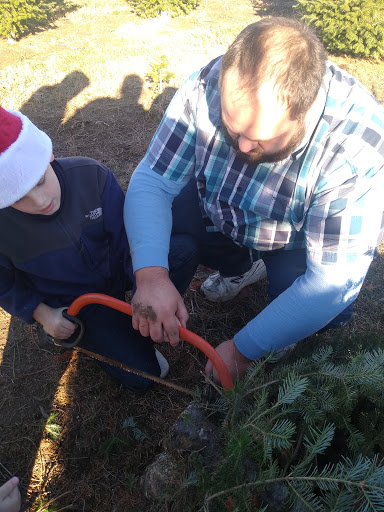 Christmas Tree Farm «Piney Acres», reviews and photos, 1115 E 1000 N, Fortville, IN 46040, USA