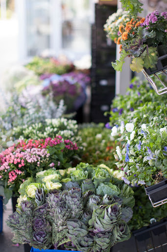 Florist «The Argyle Bouquet», reviews and photos, 120 Coulter Ave, Ardmore, PA 19003, USA