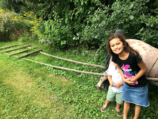 Museum «Gibbs Farm», reviews and photos, 2097 Larpenteur Ave W, St Paul, MN 55113, USA