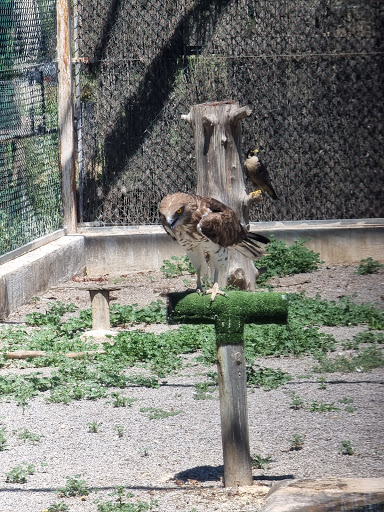 Centro De Recuperación De Fauna Silvestre