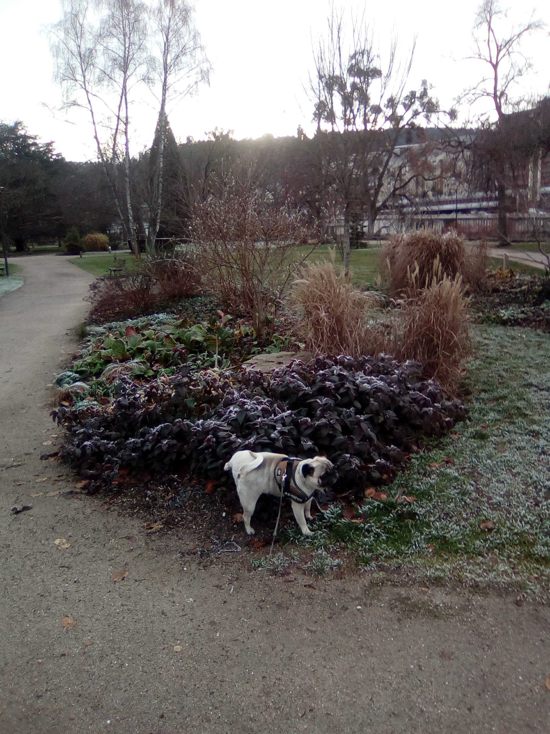 Photo n° 5 de l'avis de James.l fait le 13/12/2018 à 16:30