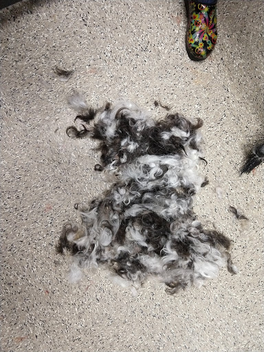 Pet Store «Everything Pets», reviews and photos, 1506 Altamont Ave, Schenectady, NY 12303, USA