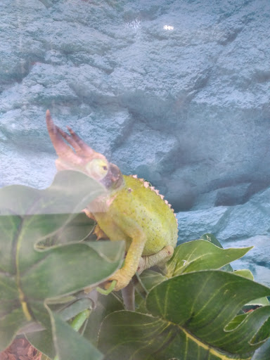 Pet Supply Store «Petco Animal Supplies», reviews and photos, 438 Southbridge St, Auburn, MA 01501, USA