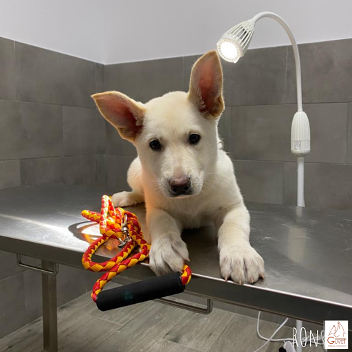 Clínica Veterinaria Guvet en Santa Comba, La Coruña