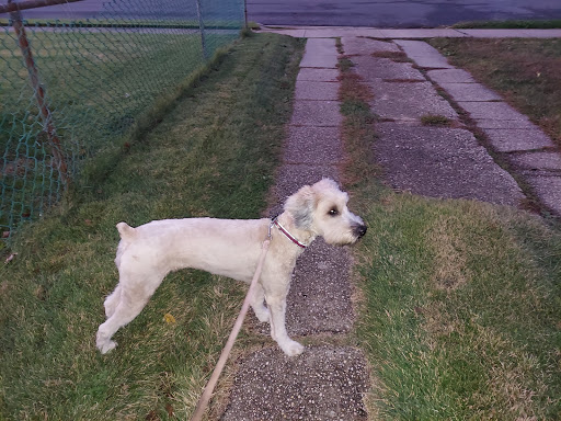 Pet Supply Store «Marine Dog Pet Supplies», reviews and photos, 1350 Hicksville Rd, Massapequa, NY 11758, USA