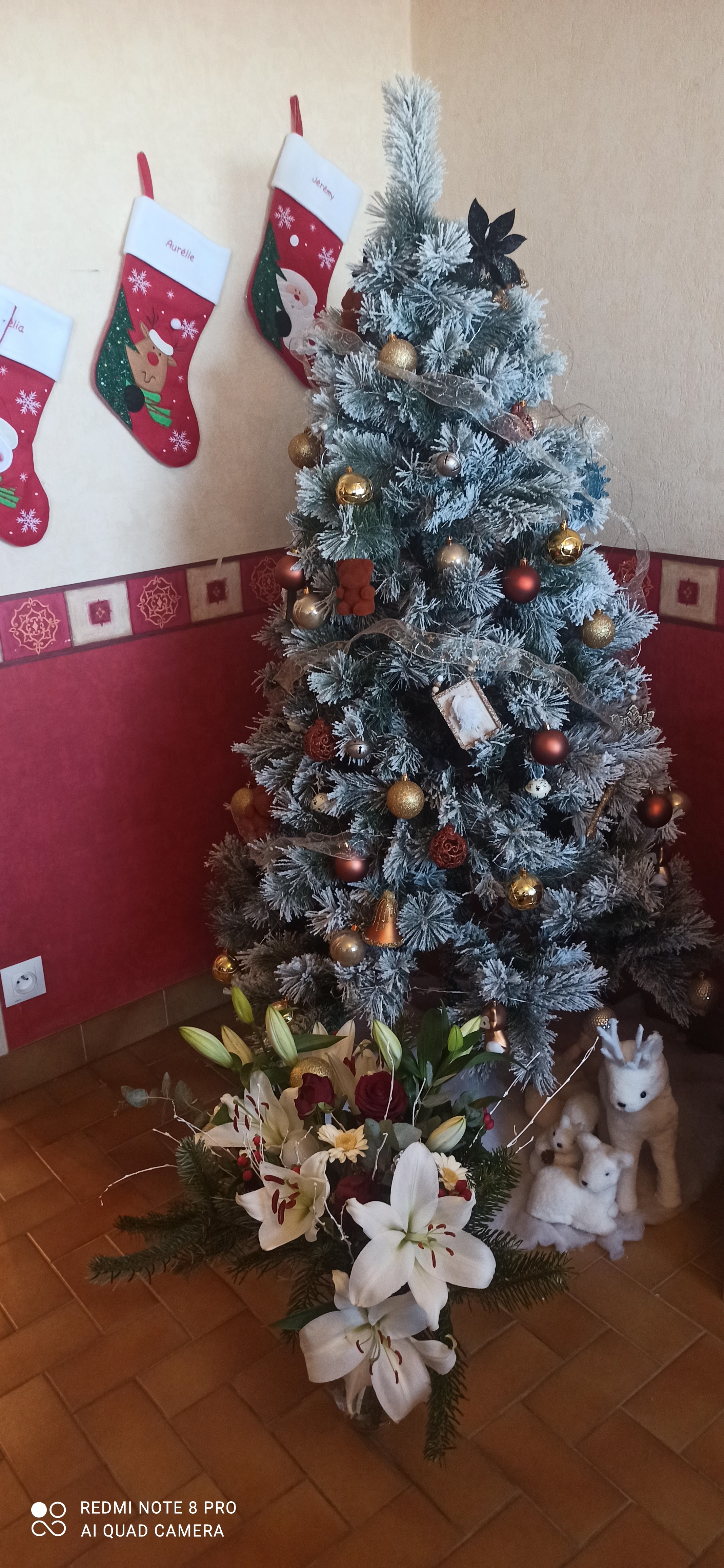 Photo n° 24 de l'avis de Jérémy. fait le 17/12/2021 à 14:40