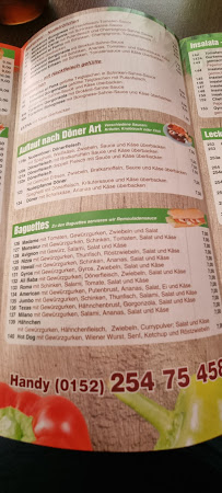 Bollywood Pizza Service à Waren carte