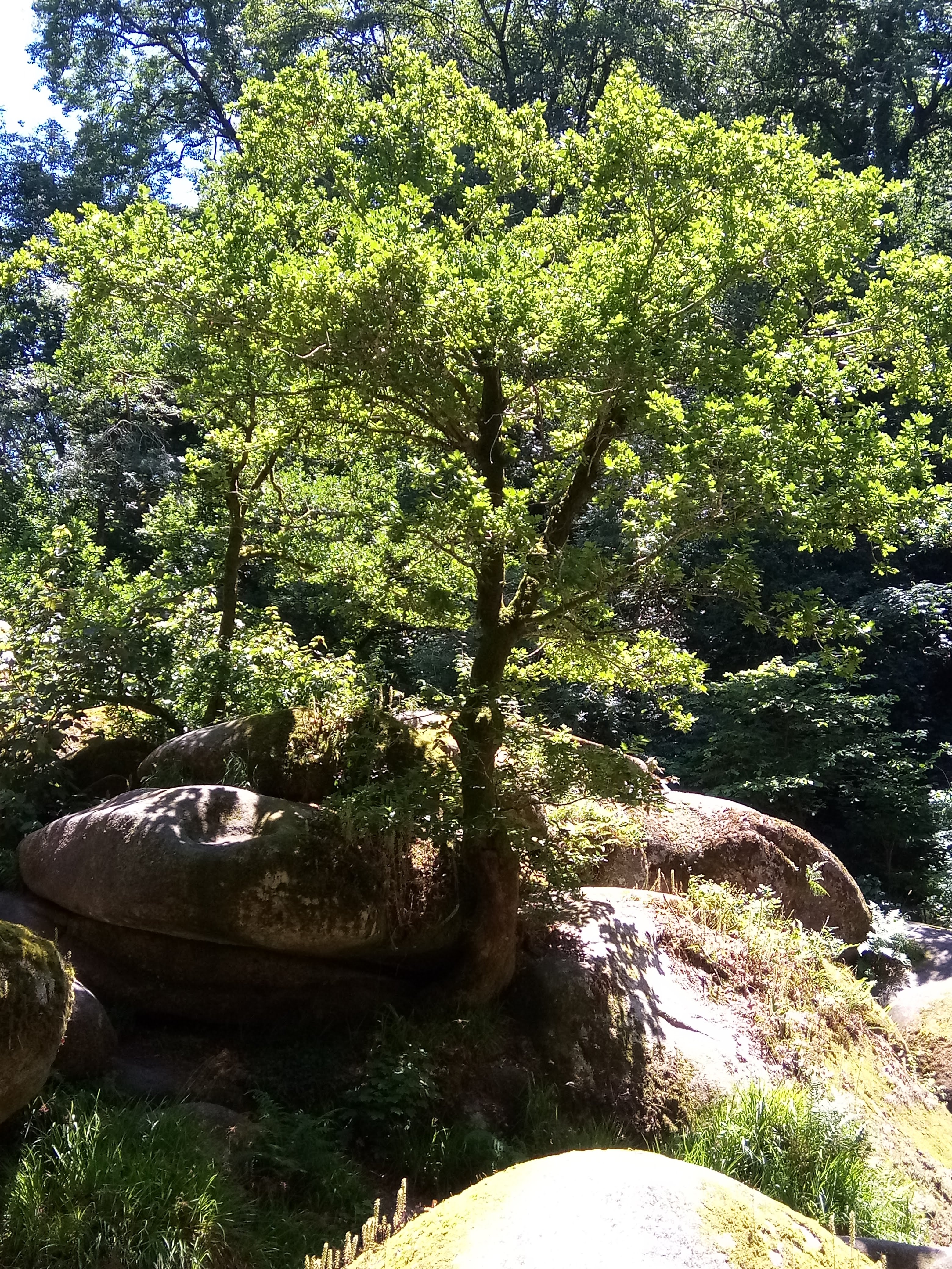 Photo n° 19 de l'avis de Christophe.n fait le 09/07/2018 à 16:57