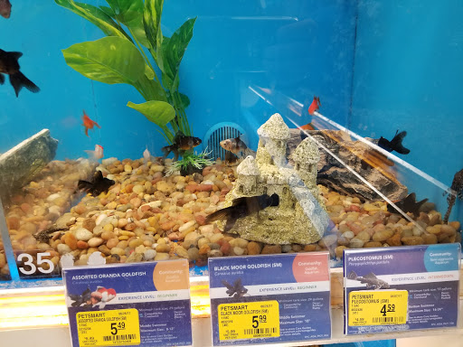 Pet Supply Store «PetSmart», reviews and photos, 620 N West End Blvd, Quakertown, PA 18951, USA