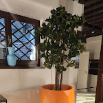 Photo n°5 de l'avis de vanessa.i fait le 20/01/2024 à 23:24 sur le  Palazzo Dei Fiori by Room Mate à Venice