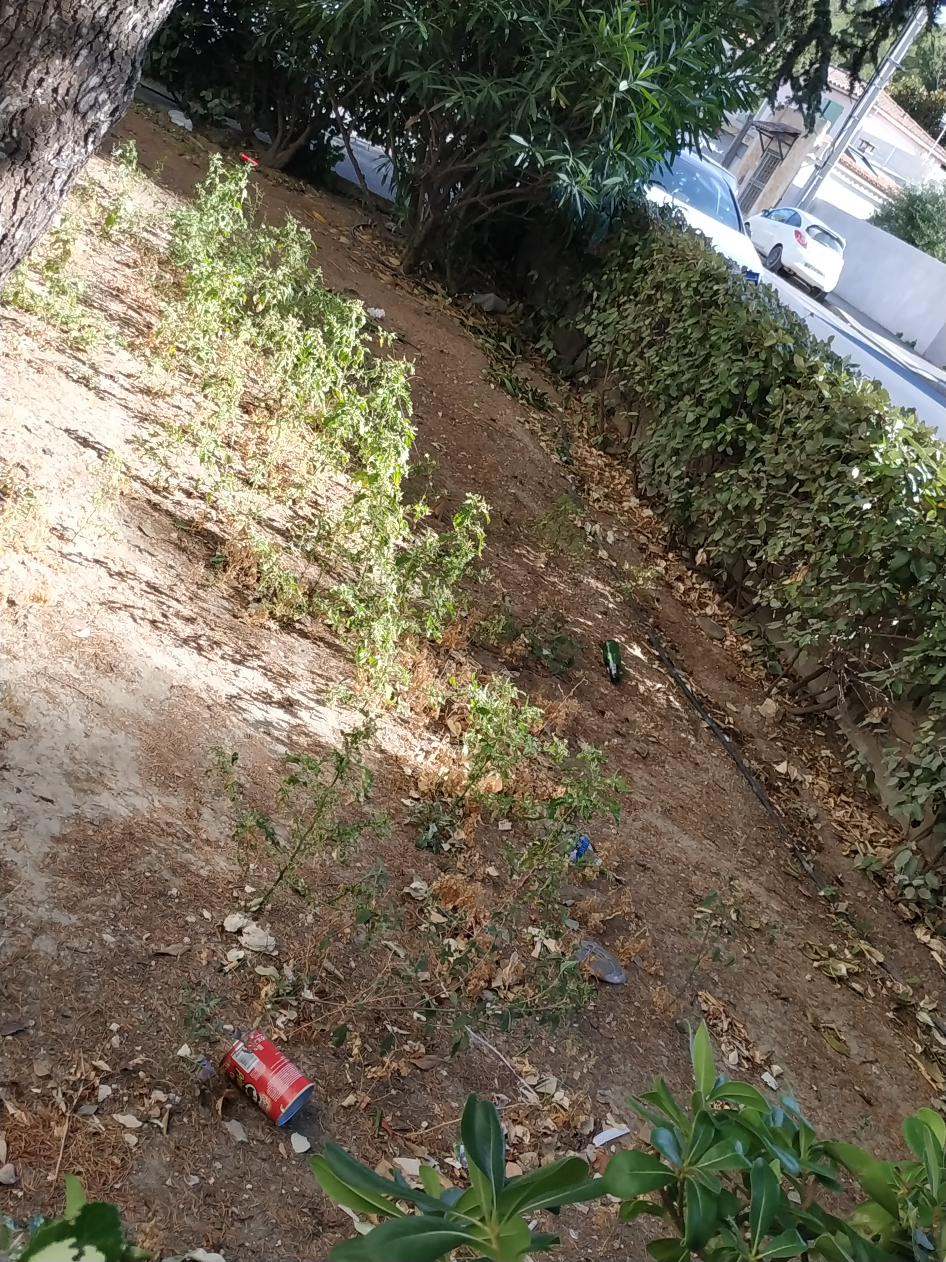 Photo n° 9 de l'avis de Caille. fait le 21/09/2020 à 16:23